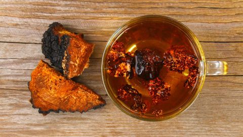 hongo chaga