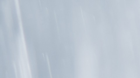 shutterstock_1134771998