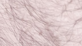 El hombre y sus padres ya habían llegado a un acuerdo.