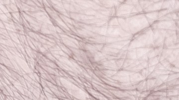 El hombre y sus padres ya habían llegado a un acuerdo.