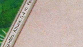 Las tarjetas se las regaló su madre. Lo curioso es que a él no le gustaban.