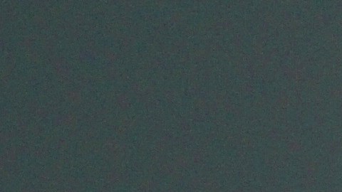 shutterstock_1622495458