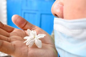 ¿Por qué el coronavirus causa pérdida de olfato? Científicos de Harvard ya tienen la respuesta