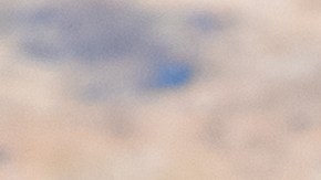 shutterstock_1773657719