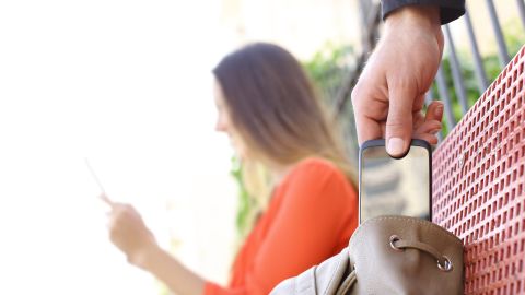 La mujer estaba viendo su teléfono cuando fue sorprendida por este ladrón.