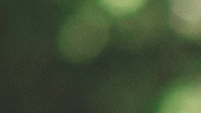 Se investiga qué sucedió antes de que la encontraran muerta.