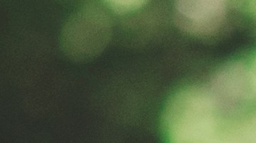 Se investiga qué sucedió antes de que la encontraran muerta.