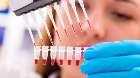 ciencia medicina cáncer sangre