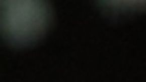 Filman a una leopardo de las nieves amamantando a sus cachorros.