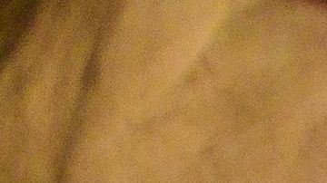 sangre laboratorio examen