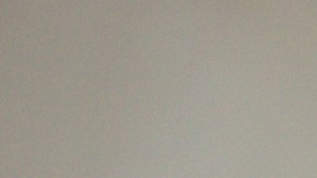 La joven dice que desde niña, disfrutaba jugar a que era un perro.