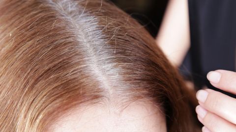 canas