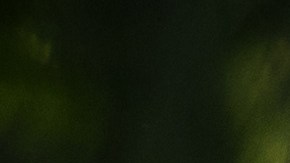 También se dice que las autoridades no le dieron el apoyo oportuno por miedo al covid.