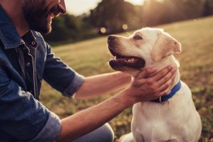 ¿Cómo podemos superar el miedo hacia los perros?