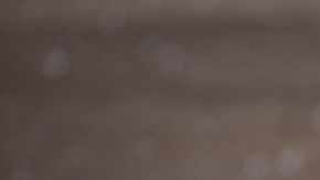 Foto: Bruno Germany/Pixabay