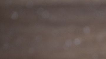 Foto: Bruno Germany/Pixabay