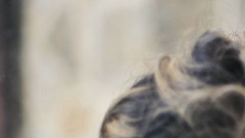 Hay signos que saben ocultar que están enamorados.