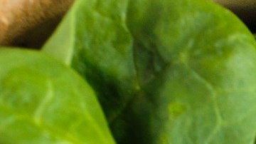 Jugo verde.