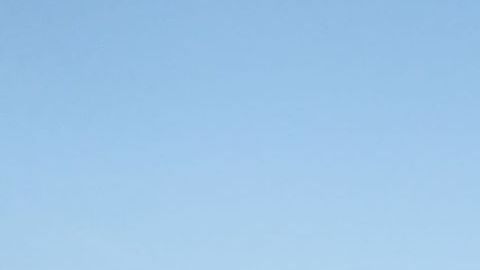 Houston salió a las calles por Vanessa Guillén.