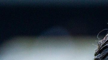 ‘Cracklitos’ logró 50 goles en 61 partidos.