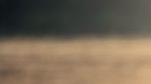 Cada personas enfrenta distinto el dolor de la muerte.