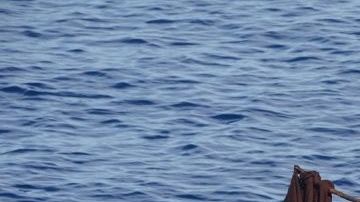 Imagen de la embarcación a remo en la que viajaban alguno de los migrantes que intentaban cruzar el Estrecho de Florida.