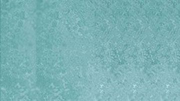 113841674_untitled-1