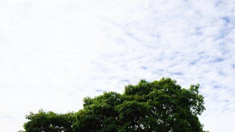 113904224_arch