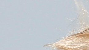 113919861_hi045965426