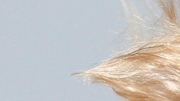 113919861_hi045965426