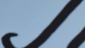 113933391_6c9dbc39-722e-47f4-b538-0953ef7f7504