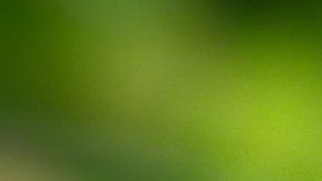 114046730_gettyimages-971015498