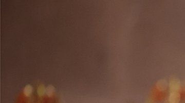 114078738_tv063029023