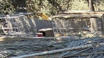 Algunas de las jaulas encontradas en el lugar con miles de gallos de pelea.