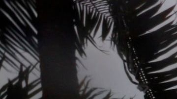 Otra tormenta tropical, Laura, avanza hacia la isla La Española.