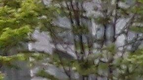 Muy pocos pasajeros para los taxis