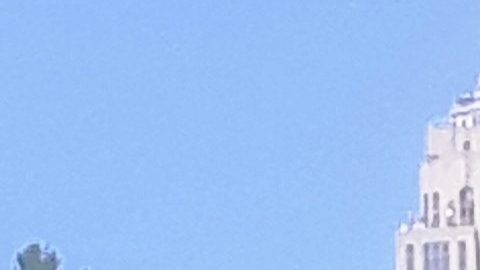 Preocupa capacidad electoral de NY