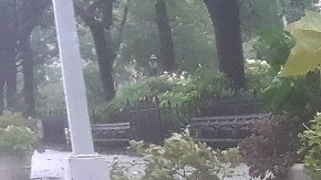 Fuertes lluvias y ráfagas de viento en Nueva York.