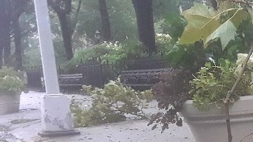 Fuertes lluvias y ráfagas de viento en Nueva York.