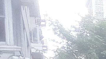 Árbol derribado por la tormenta en Manhattan