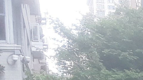 Árbol derribado por la tormenta en Manhattan