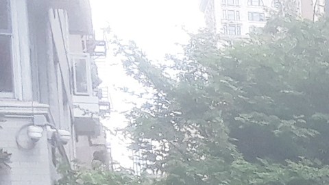 Árbol derribado por la tormenta en Manhattan