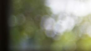 Así viene el mes para todos los signos del zodiaco.