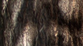 Un trabajador de la salud habla con una mujer en Barcelona.