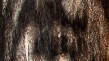 Un trabajador de la salud habla con una mujer en Barcelona.