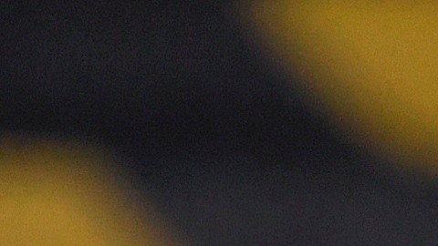 Raúl Jiménez ha despertado el interés de varios equipos en Europa.