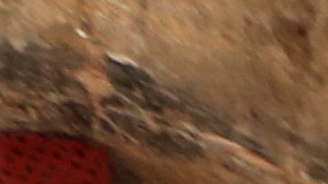 La pequeña mueve las manos en señal de que se encuentra con vida.