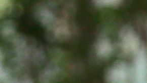 60,000 personas han muerto en México por complicaciones derivadas del coronavirus.