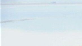 Velos para vestidos de novia.