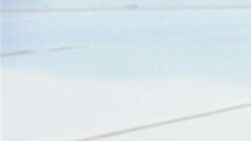 Velos para vestidos de novia.